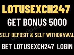 Lotusexch247