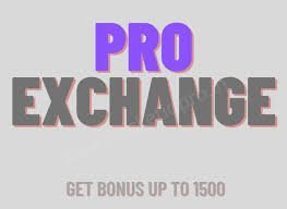 ProExchange247